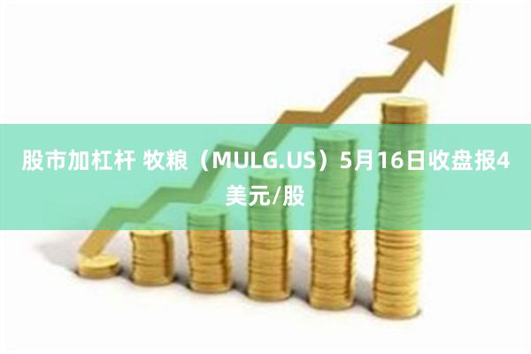 股市加杠杆 牧粮（MULG.US）5月16日收盘报4美元/股