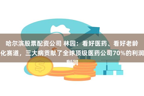 哈尔滨股票配资公司 林园：看好医药、看好老龄化赛道，三大病贡献了全球顶级医药公司70%的利润