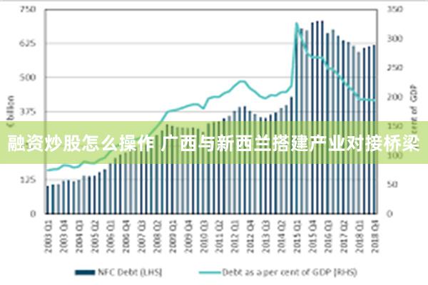 融资炒股怎么操作 广西与新西兰搭建产业对接桥梁