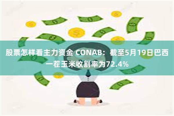 股票怎样看主力资金 CONAB：截至5月19日巴西一茬玉米收割率为72.4%