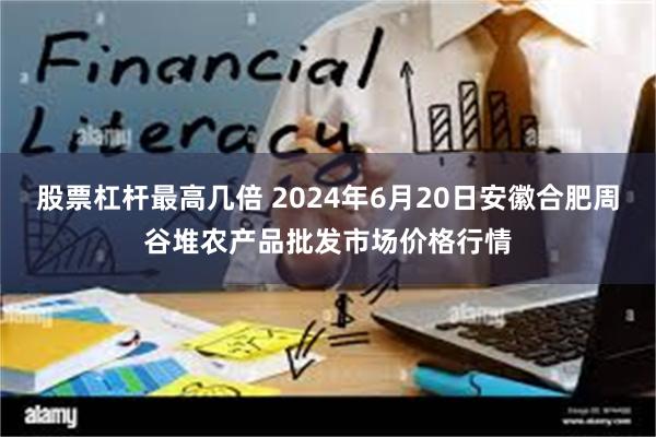 股票杠杆最高几倍 2024年6月20日安徽合肥周谷堆农产品批发市场价格行情