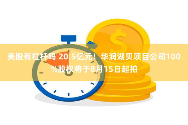 美股有杠杆吗 20.5亿元！华润湖贝项目公司100%股权将于8月15日起拍