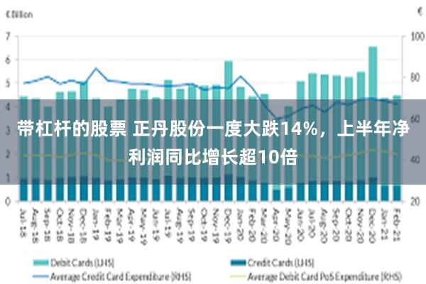 带杠杆的股票 正丹股份一度大跌14%，上半年净利润同比增长超10倍