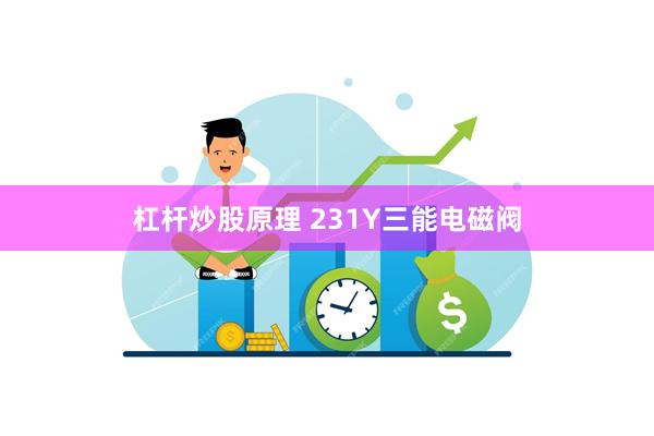 杠杆炒股原理 231Y三能电磁阀