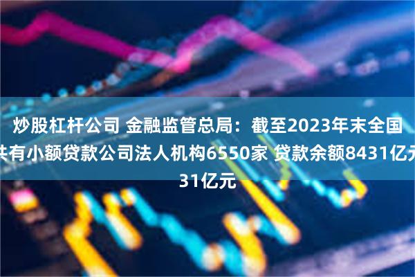 炒股杠杆公司 金融监管总局：截至2023年末全国共有小额贷款公司法人机构6550家 贷款余额8431亿元