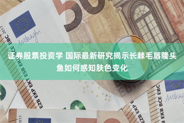 证券股票投资学 国际最新研究揭示长棘毛唇隆头鱼如何感知肤色变化