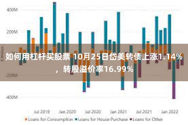 如何用杠杆买股票 10月25日岱美转债上涨1.14%，转股溢价率16.99%