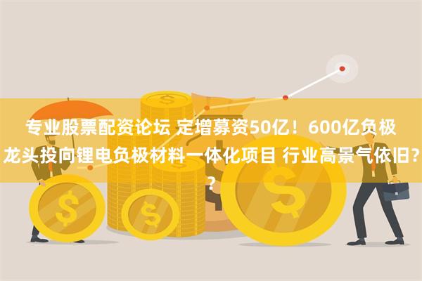 专业股票配资论坛 定增募资50亿！600亿负极龙头投向锂电负极材料一体化项目 行业高景气依旧？