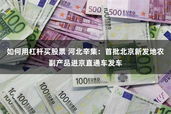 如何用杠杆买股票 河北辛集：首批北京新发地农副产品进京直通车发车