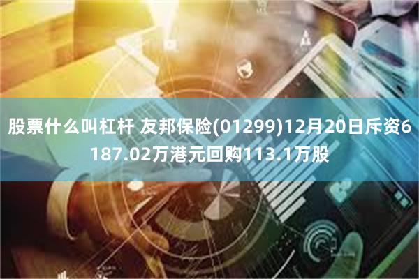 股票什么叫杠杆 友邦保险(01299)12月20日斥资6187.02万港元回购113.1万股