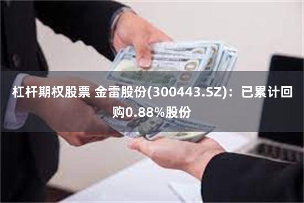 杠杆期权股票 金雷股份(300443.SZ)：已累计回购0.88%股份