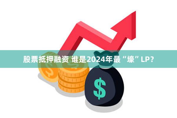 股票抵押融资 谁是2024年最“壕”LP？