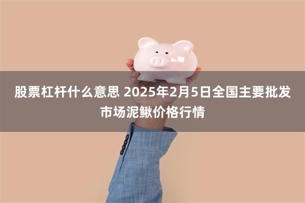 股票杠杆什么意思 2025年2月5日全国主要批发市场泥鳅价格行情