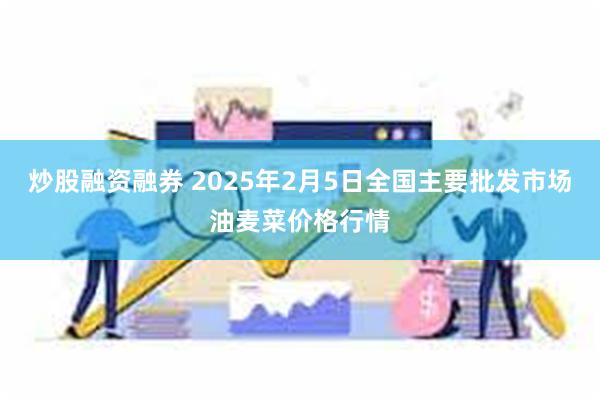 炒股融资融券 2025年2月5日全国主要批发市场油麦菜价格行情