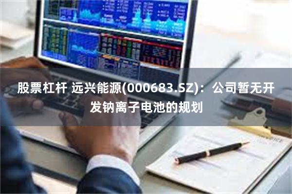 股票杠杆 远兴能源(000683.SZ)：公司暂无开发钠离子电池的规划