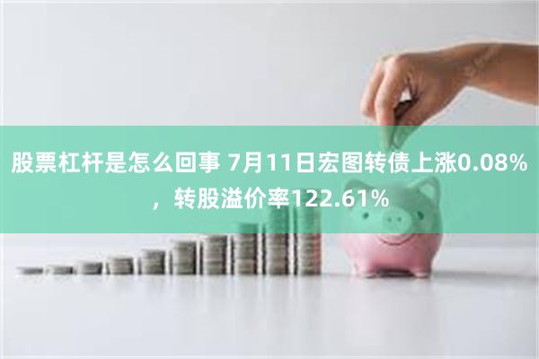 股票杠杆是怎么回事 7月11日宏图转债上涨0.08%，转股溢价率122.61%